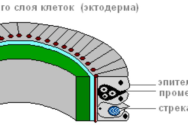 Дарк нет кракен