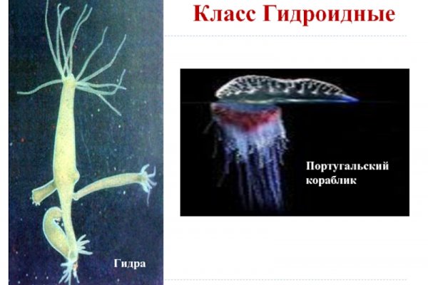 Kraken 13at вход