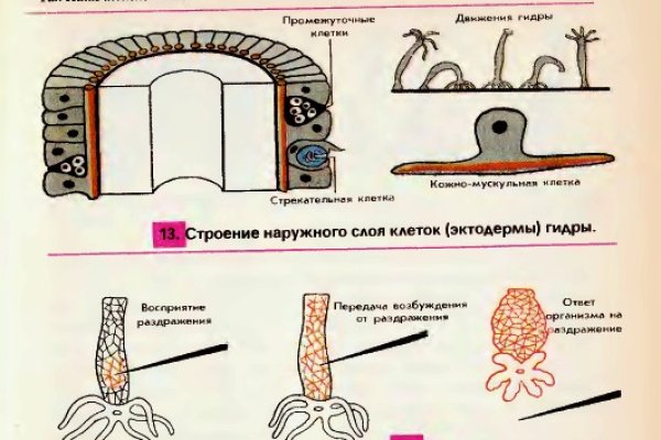 Кракен тор krakens13 at